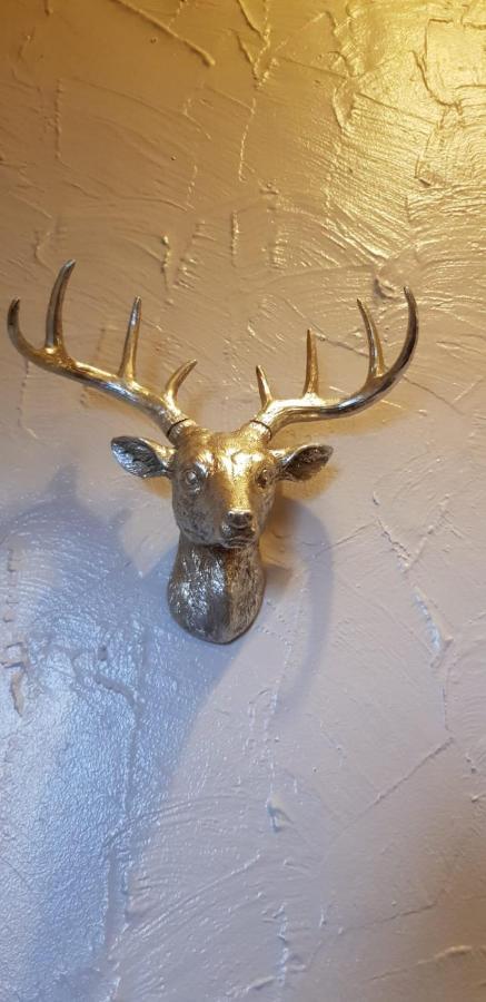 Newburgh Guesthouse Torquay Esterno foto