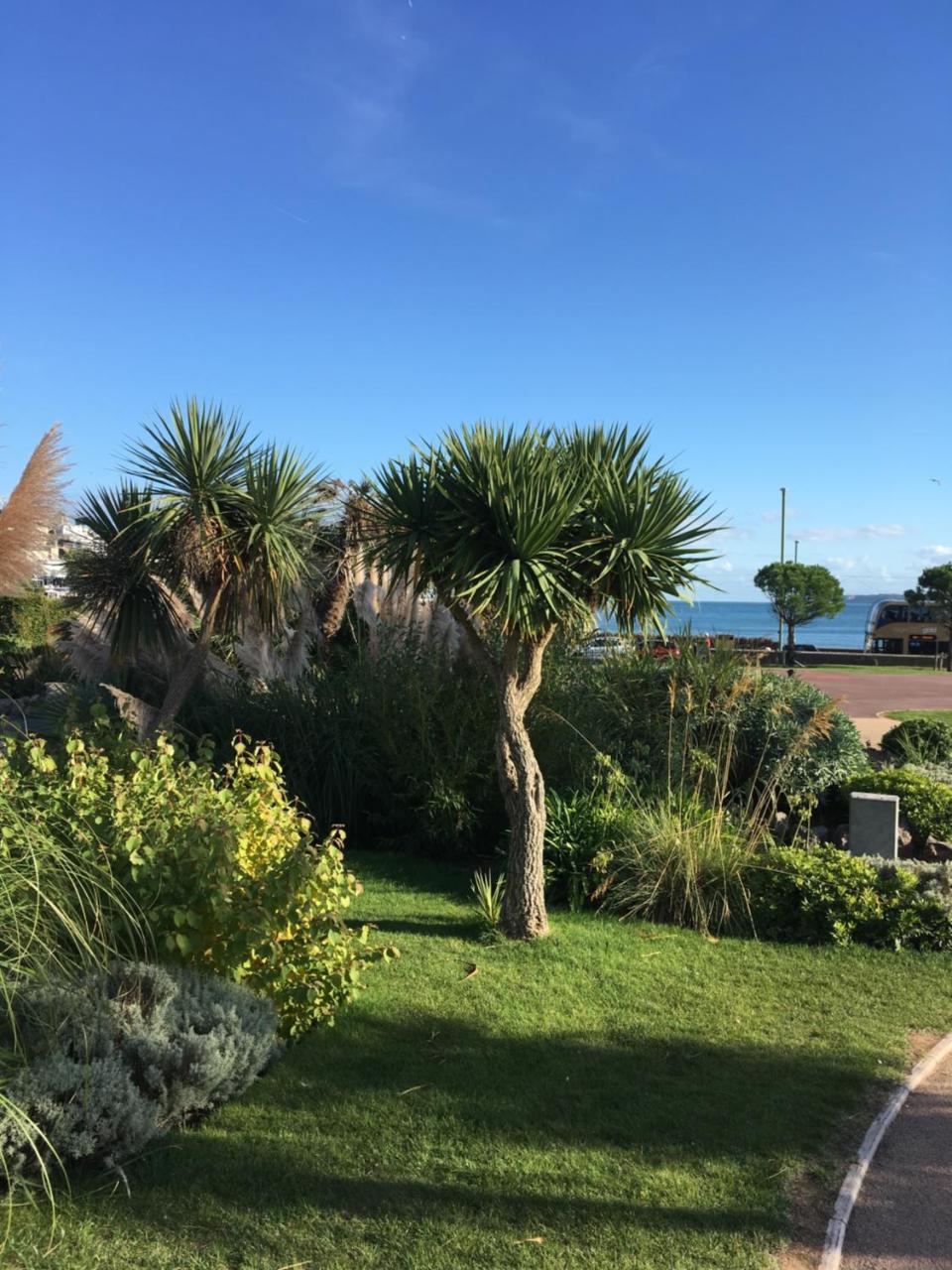 Newburgh Guesthouse Torquay Esterno foto
